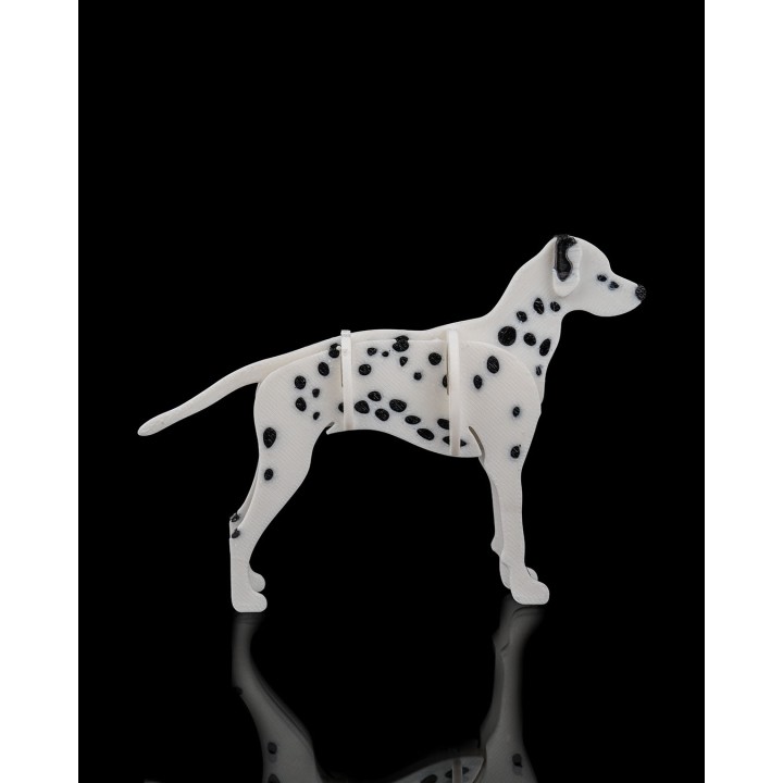 Dalmatian Kit Card