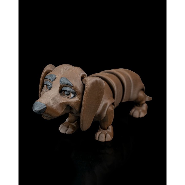 Winston, le teckel