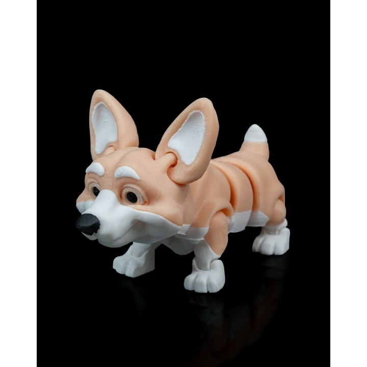 Rufus, le Corgi gallois