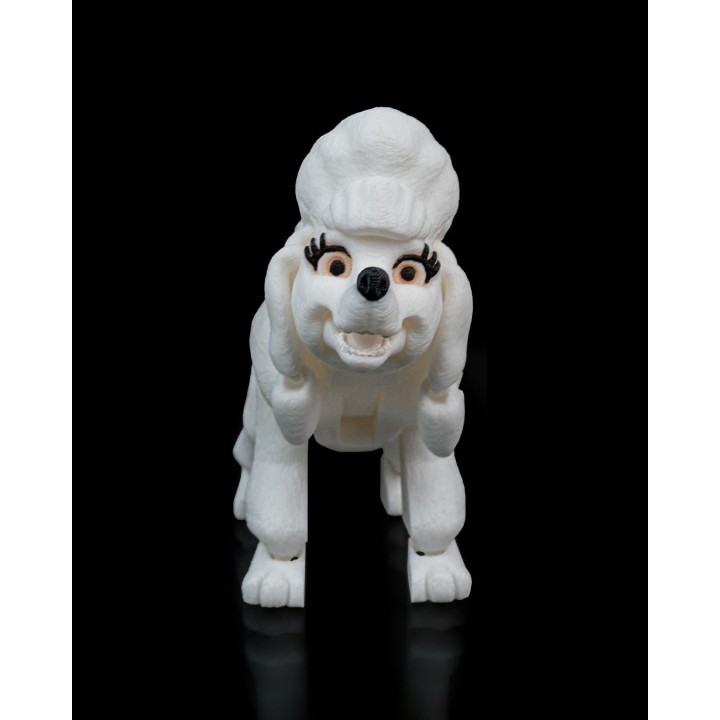 Lizzie, le Caniche