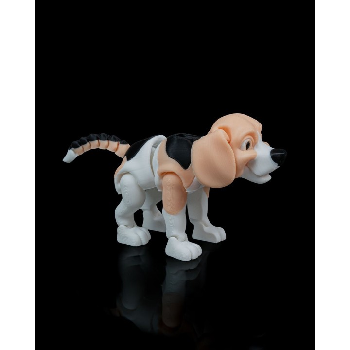 Barry, le Beagle