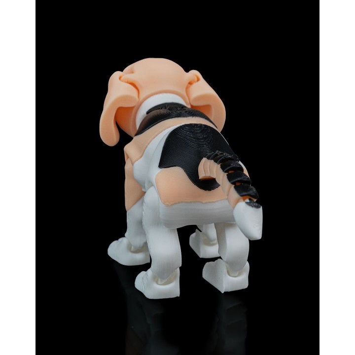 Barry, le Beagle