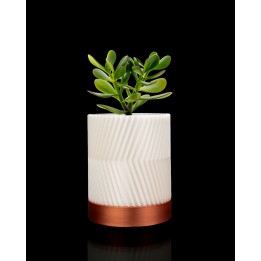 CYLINDRIX Wall Planter Set