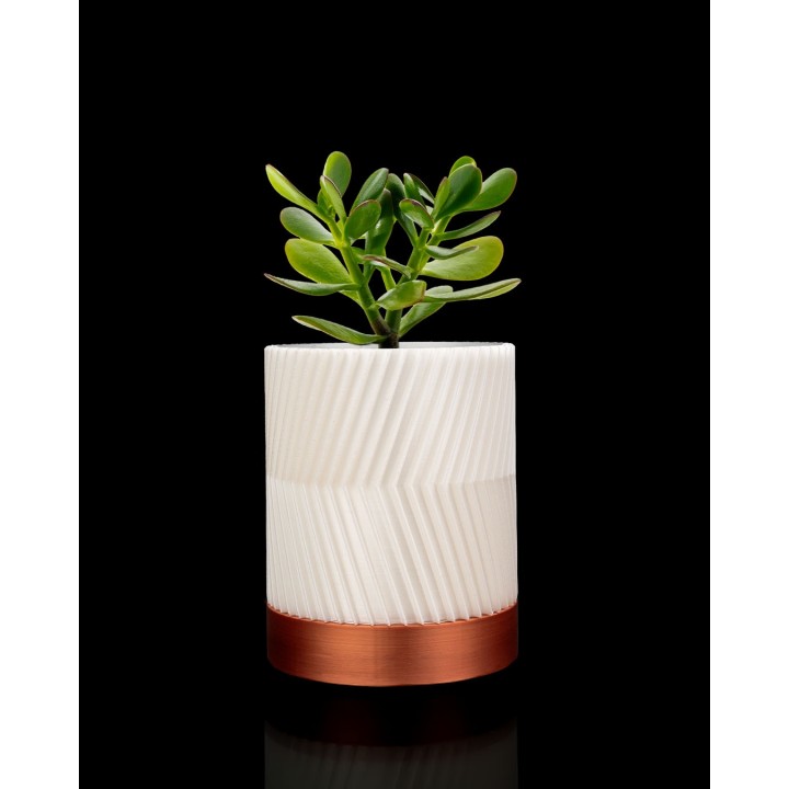 CYLINDRIX Wall Planter Set