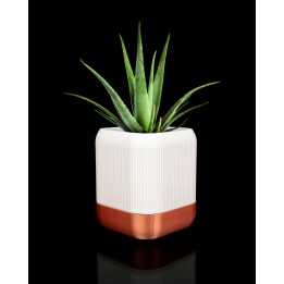 QUADRA Self-watering planter