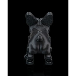 Stella, le bouledogue français