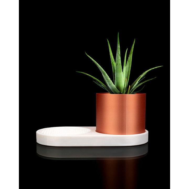 VOXEL Trinket Dish & Planter