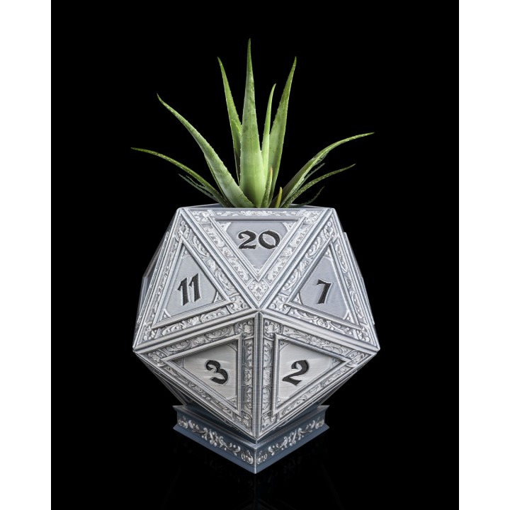 Champion's D20