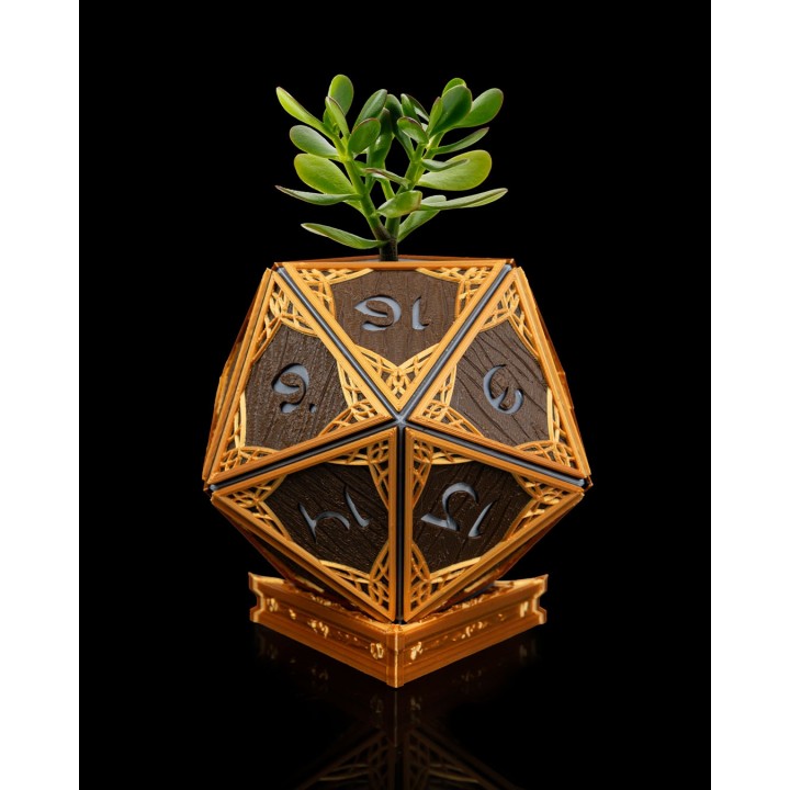 Elven D20