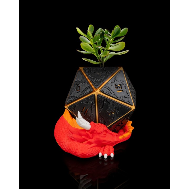 HoarD20