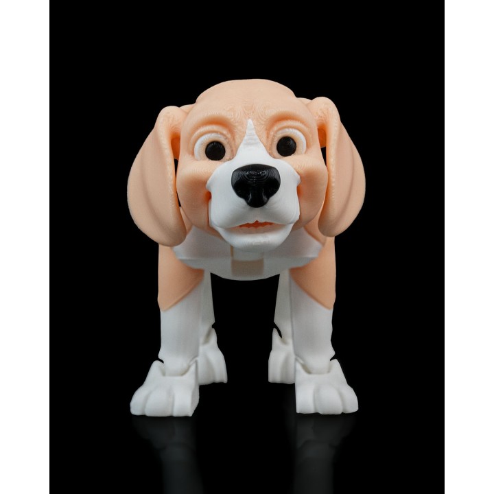 Barry, the Beagle