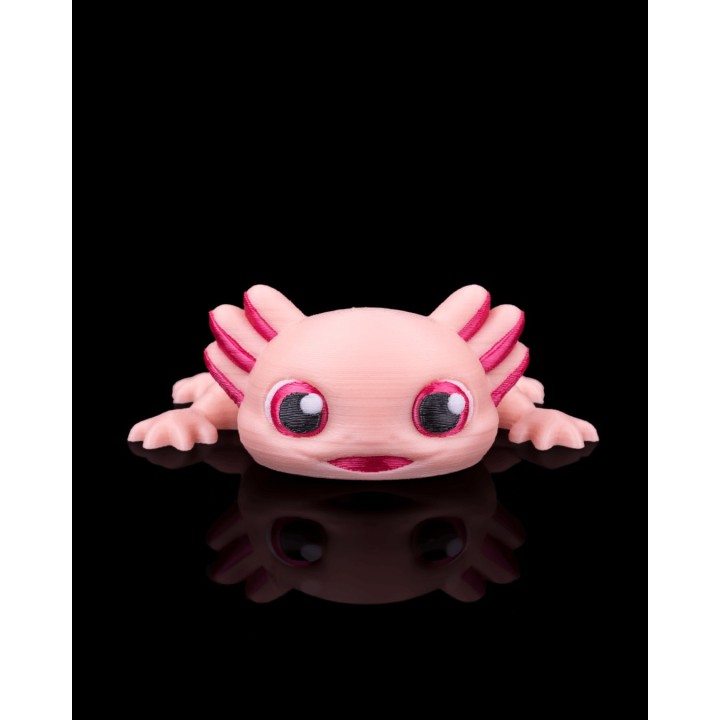 Ashley, l'Axolotl