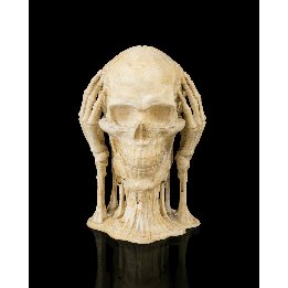 Skulls of Wisdom