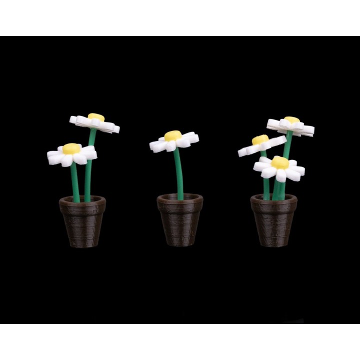 Mini Fleur Magnet