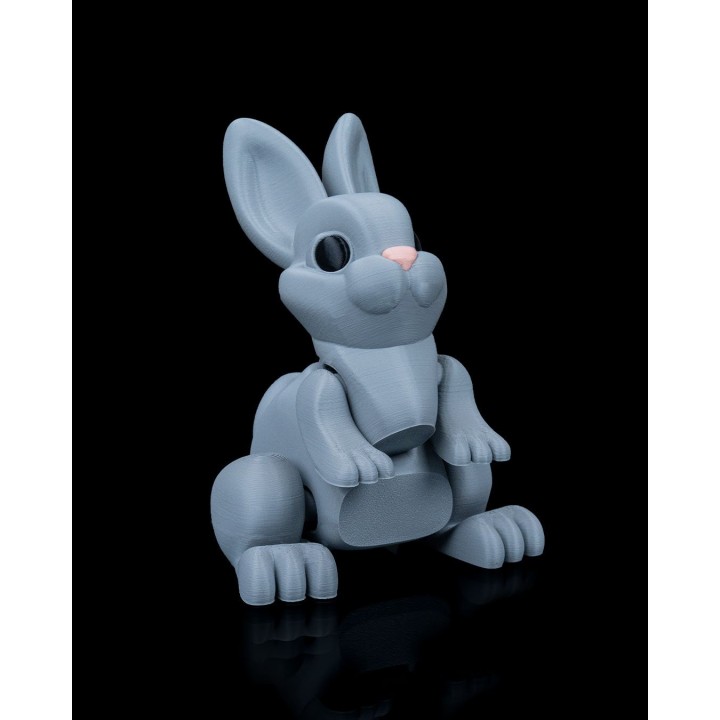 Lapin Bondissant
