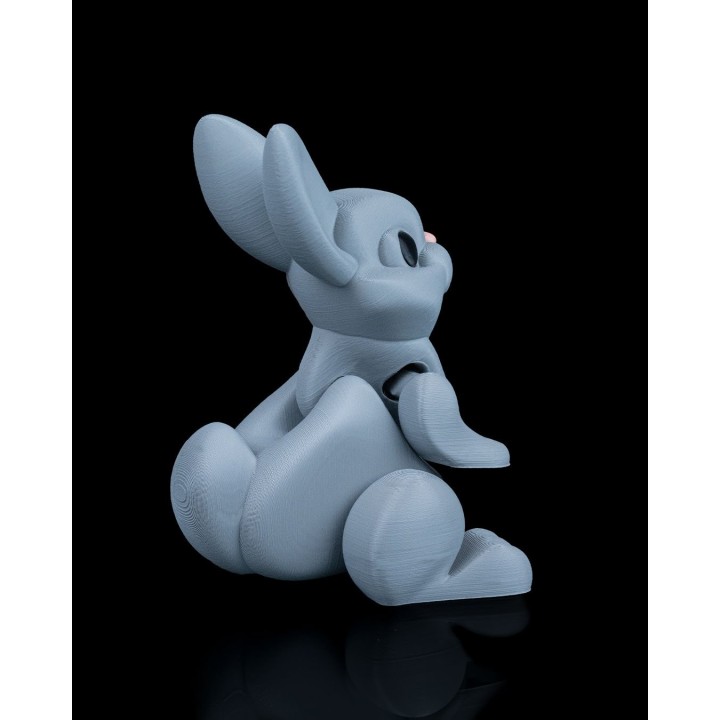 Lapin Bondissant
