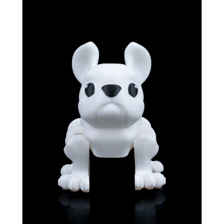 Presse le Bouledogue Français