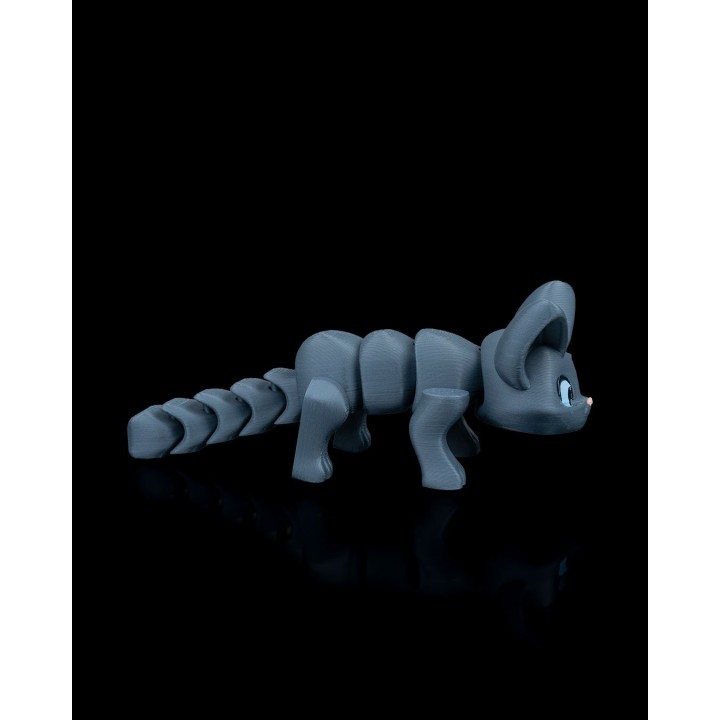 Stretchy Kitty