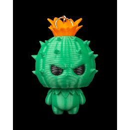 Cali, the Cactus Spirit