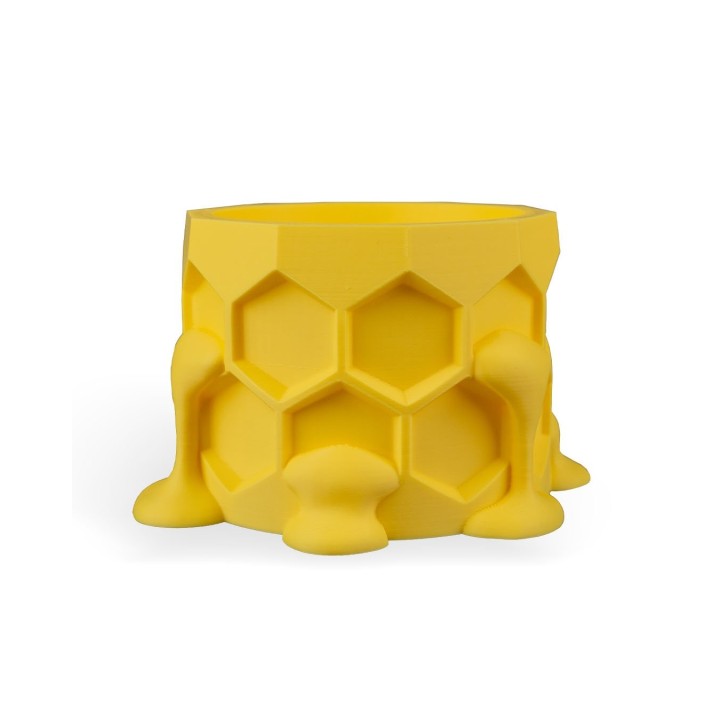 Hive Minded Cache-Pot