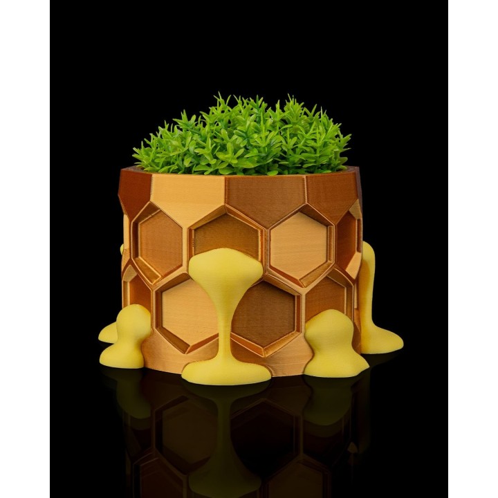 Hive Minded Cache-Pot