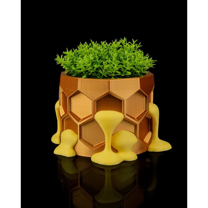 Hive Minded Cache-Pot