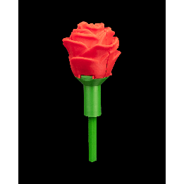 Sweet Rose - Container & Ring Box