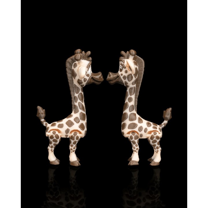 Paire de girafes