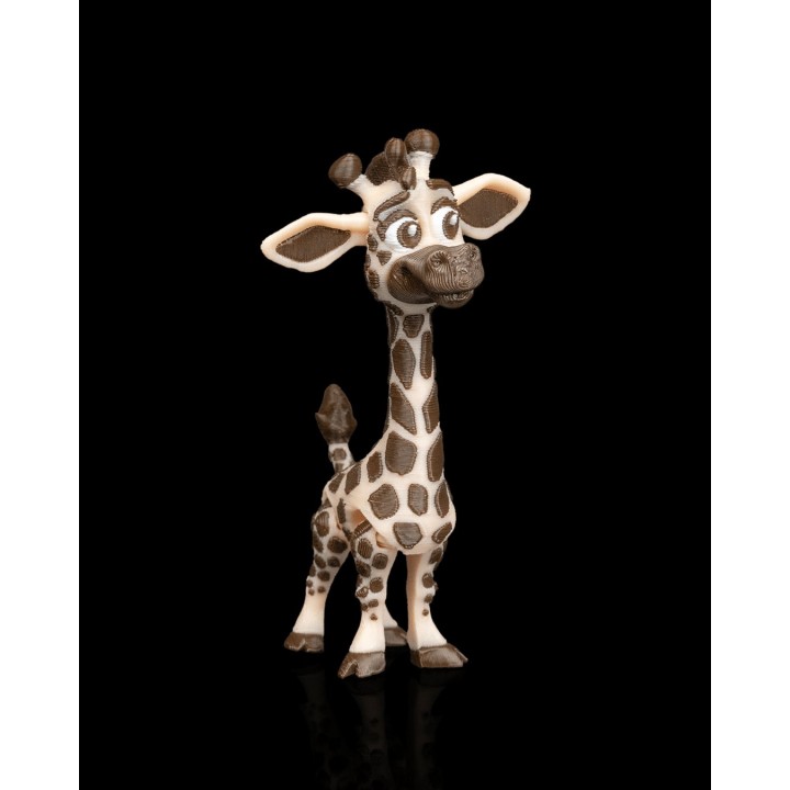 Paire de girafes