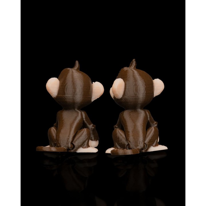 Paire de Singes