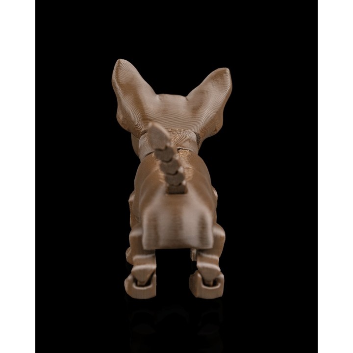 Lupe, le Chihuahua