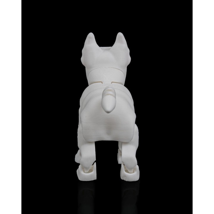 Rex, le Bull Terrier