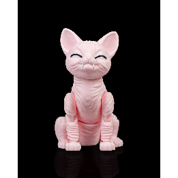 Ruby, the Sphynx pour makers | Maison Drabiec