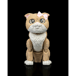 Mochi, the Scottish Fold pour makers | Maison Drabiec