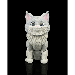 Chester, the Maine Coon pour makers | Maison Drabiec