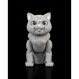 Oliver, the British Shorthair pour makers | Maison Drabiec