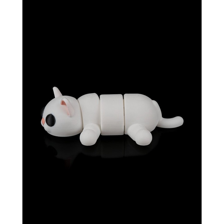 Chat paresseux