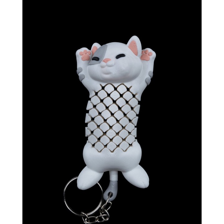 Pat, le Chat