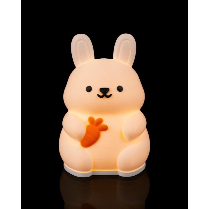 Lapin Lumineux - Lampe de Table