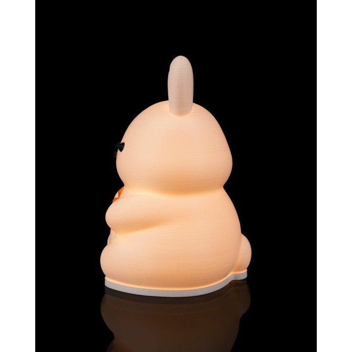 Lapin Lumineux - Lampe de Table