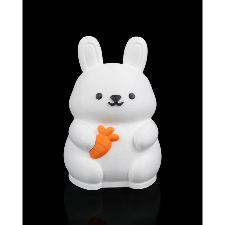 Lapin Lumineux - Lampe de Table