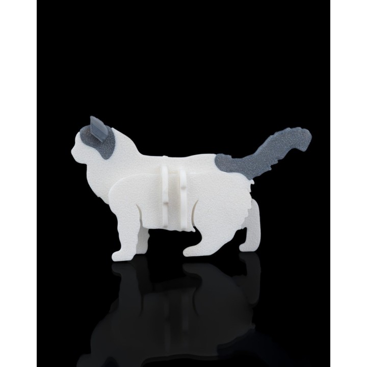 Carte kit poupée articulée