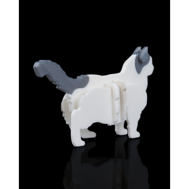 Carte kit poupée articulée