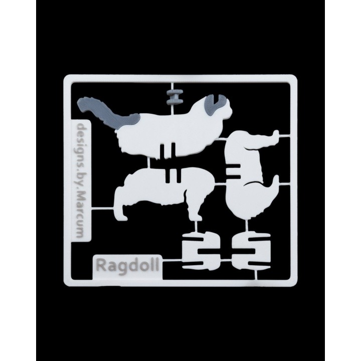 Carte kit poupée articulée