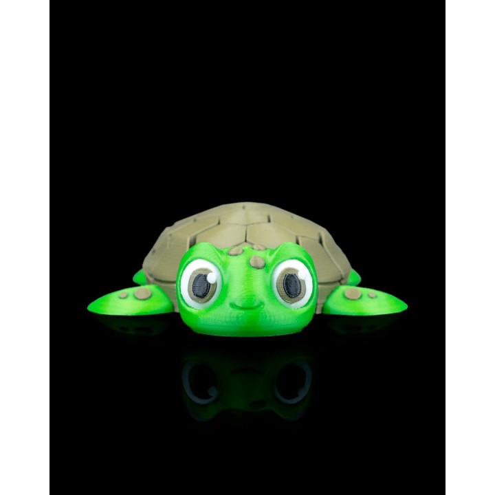 Myrtille la tortue | Maison Drabiec