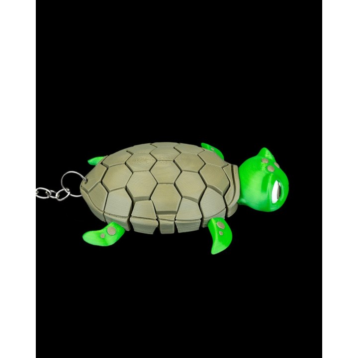 Myrtille la tortue | Maison Drabiec
