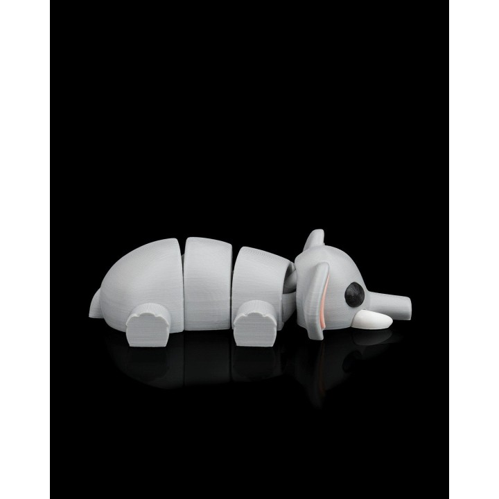 Facilité éléphant | Maison Drabiec