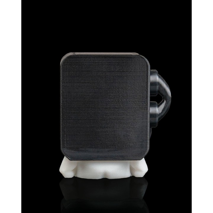 Fourmi de garde | Maison Drabiec