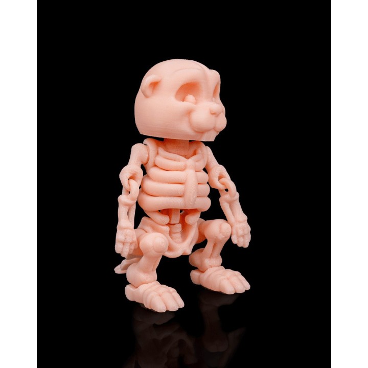 Squelette de Castor | Impression 3D Artisanale Occitanie