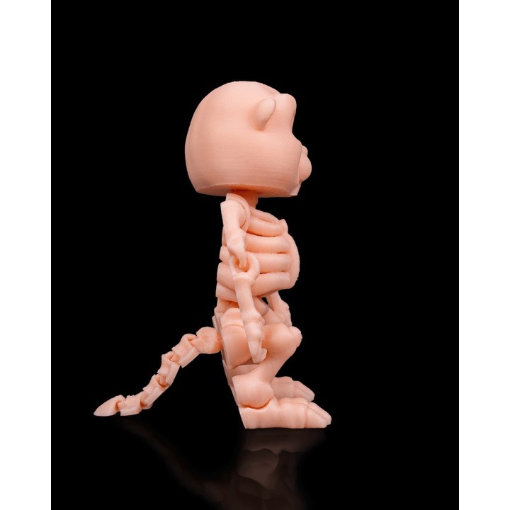 Squelette de Castor | Impression 3D Artisanale Occitanie